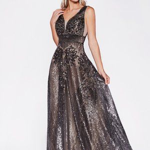Illusion V-Neck A-Line Evening Dress CD09